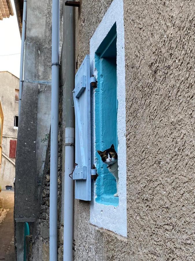 Séjour chez l'habitant La Vannière